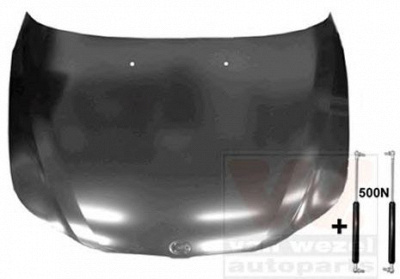VAN WEZEL 0655670 -  Капот двигателя